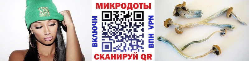 Псилоцибиновые грибы Psilocybine cubensis  Холмск 